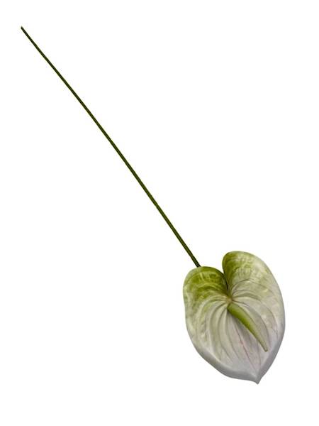 Anturium gałązka 60 cm biało zielone