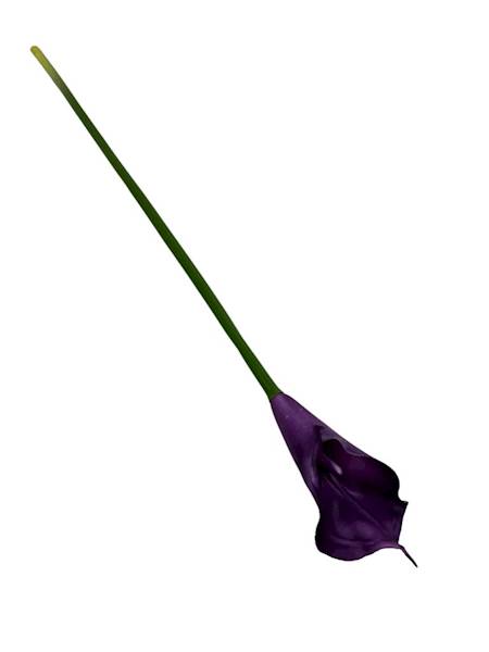 Kalia gumowa 70 cm fiolet