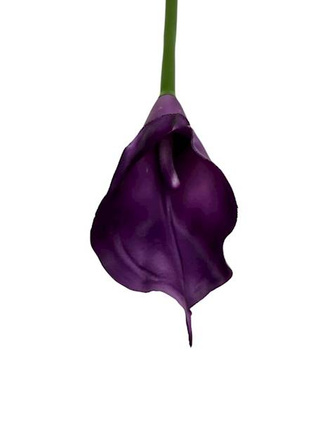 Kalia gumowa 70 cm fiolet