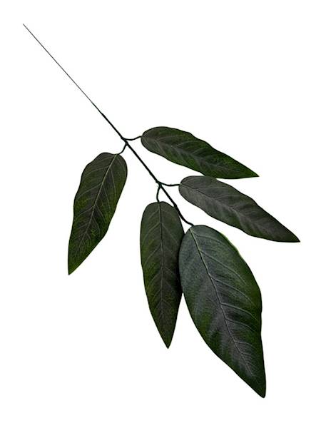 Liść mango 57 cm omszony zielony