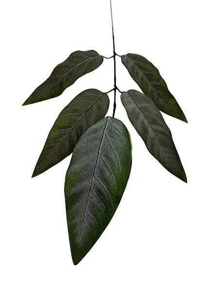 Liść mango 57 cm omszony zielony