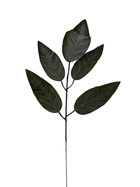 Liść mango 57 cm omszony zielony