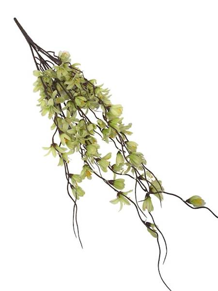 Bukiet forsycja 85 cm jasno zielona