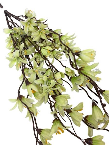 Bukiet forsycja 85 cm jasno zielona