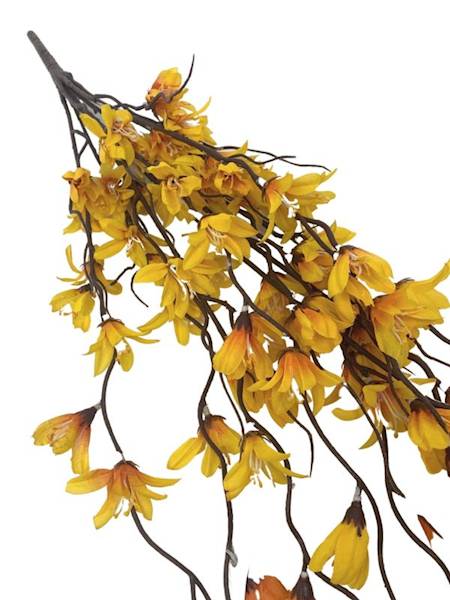 Bukiet forsycja 85 cm żółta