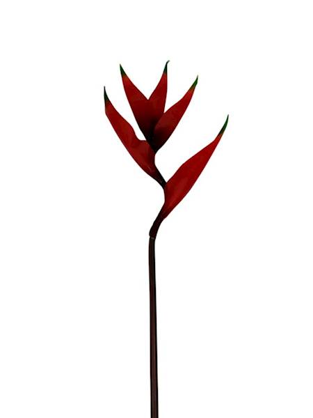 Helikonia gumowana 86 cm czerwona