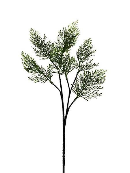 Tuja gałązka 52 cm zielona