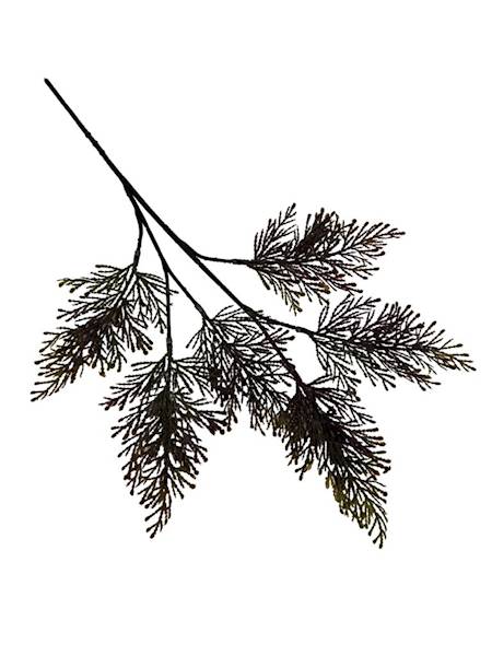 Tuja gałązka 52 cm bordo