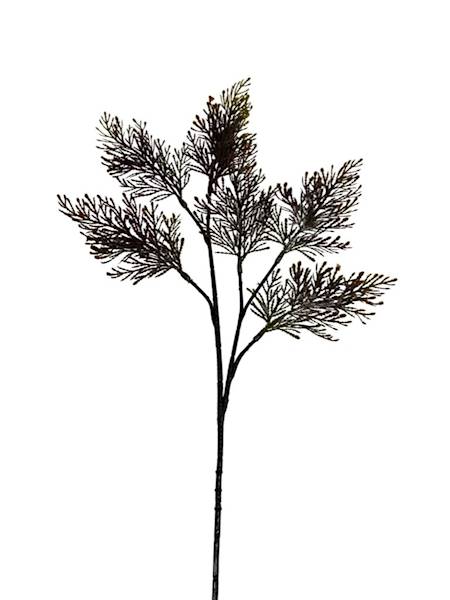 Tuja gałązka 52 cm bordo