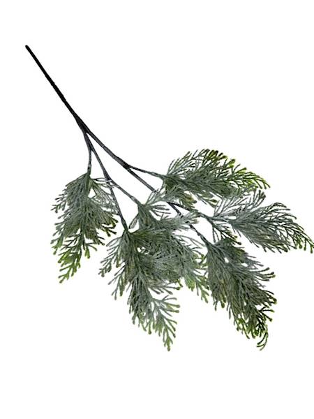 Tuja gałązka 52 cm zielona bielona