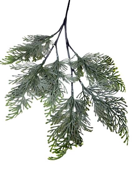 Tuja gałązka 52 cm zielona bielona