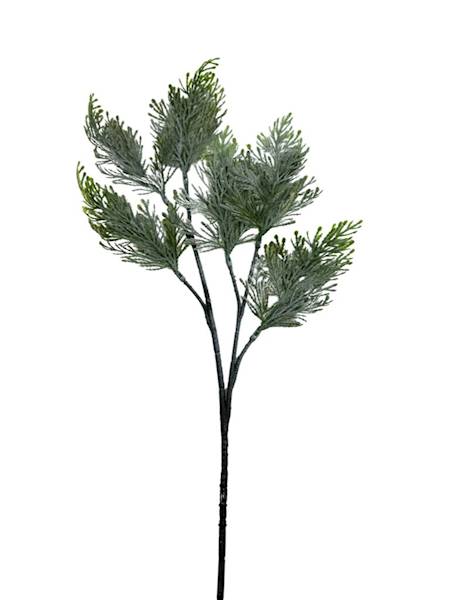 Tuja gałązka 52 cm zielona bielona