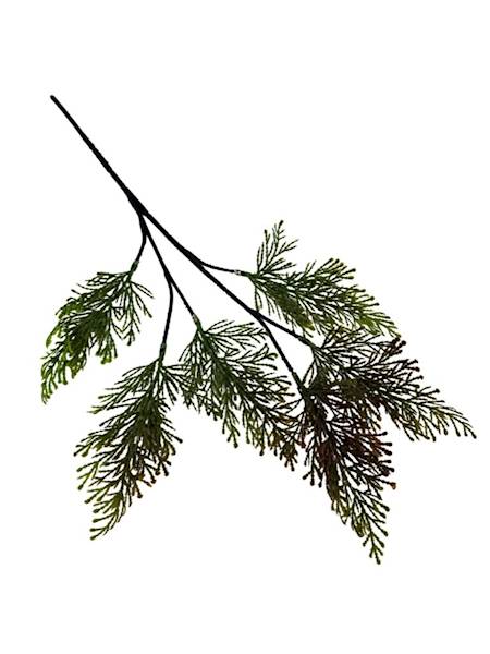 Tuja gałązka 52 cm zielona z brązem