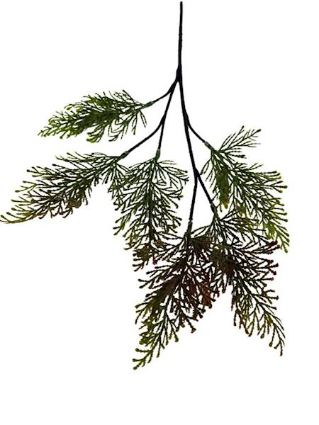 Tuja gałązka 52 cm zielona z brązem