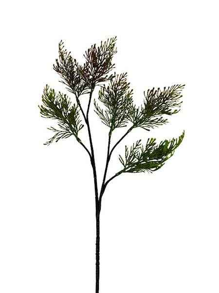 Tuja gałązka 52 cm zielona z brązem