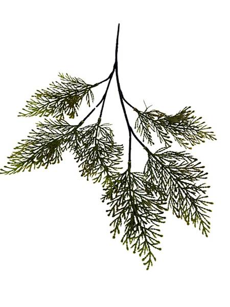 Tuja gałązka 52 cm zielona z pomarańczem