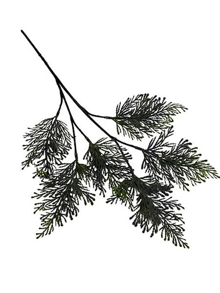 Tuja gałązka 52 cm szara