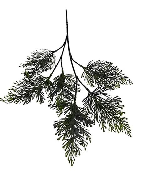 Tuja gałązka 52 cm szara