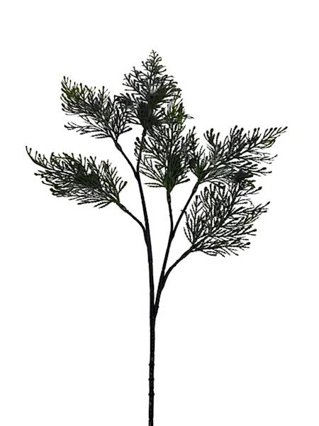 Tuja gałązka 52 cm szara