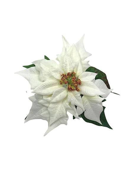 Gwiazda betlejemska główka 20 cm biała