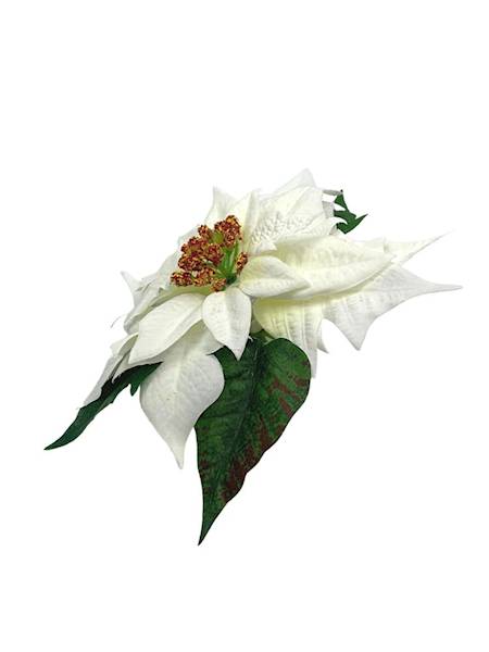 Gwiazda betlejemska główka 20 cm biała