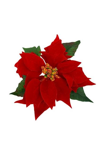 Gwiazda betlejemska welurowa 20 cm czerwona