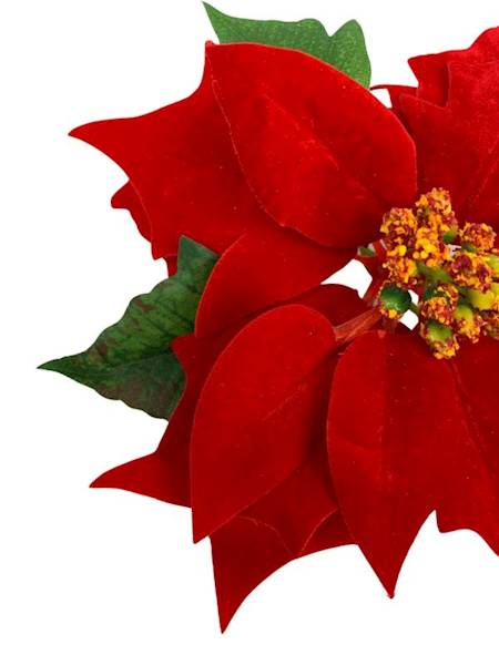 Gwiazda betlejemska welurowa 20 cm czerwona