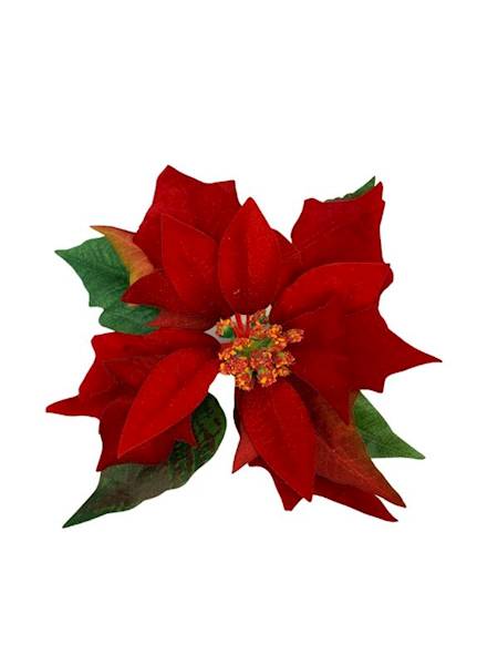 Gwiazda betlejemska welurowa 20 cm ciemno czerwona