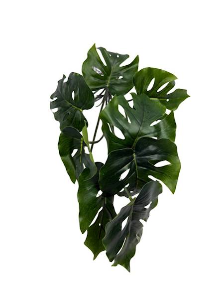 Monstera bukiet silikonowy 38 cm