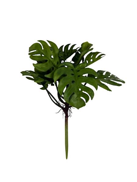 Monstera bukiet gumowy 31 cm