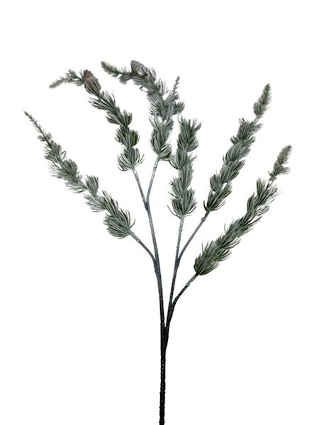 Modrzew gałązka z szyszkami 64 cm bielona