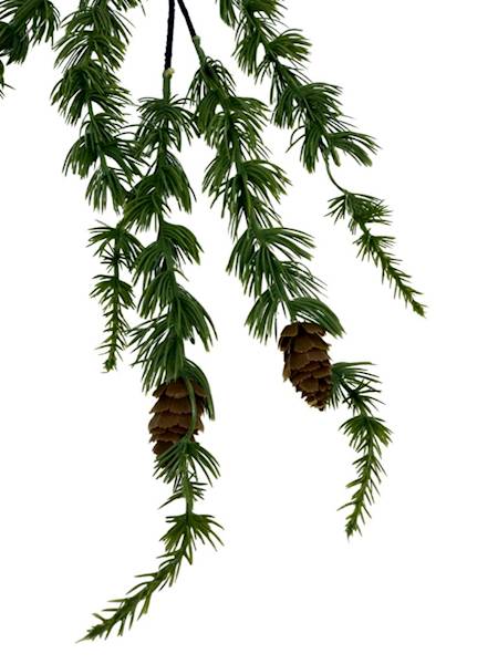 Modrzew gałązka z szyszkami 64 cm jasno zielona