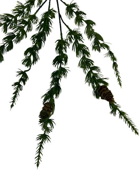 Modrzew gałązka z szyszkami 64 cm zielona