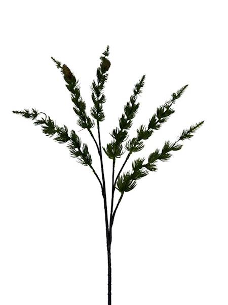 Modrzew gałązka z szyszkami 64 cm zielona