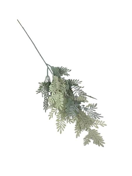 Tuja gałązka 45 cm szara