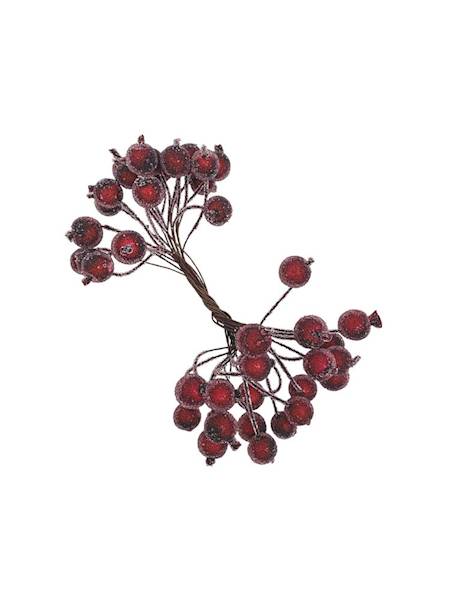 Jarzębina kuleczki oszronione czerwone