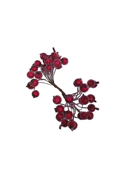 Jarzębina kuleczki fuksja