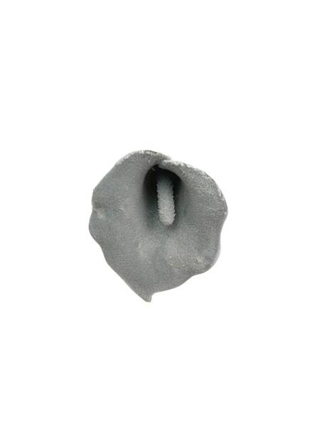 Kantadeska kalia welurowa 50 cm szara