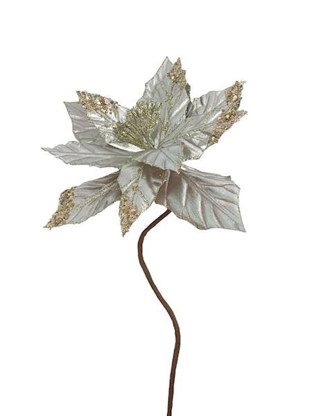 Gwiazda betlejemska 55 cm szampańska