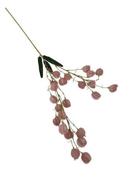 Miechunka gałązka 97 cm brudny róż