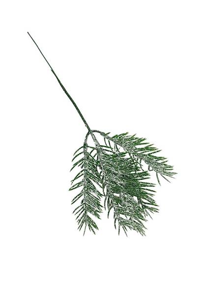 Jodła ośnieżona z brokatem 24 cm