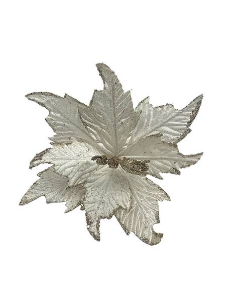 Gwiazda betlejemska na piku 30 cm szampańska