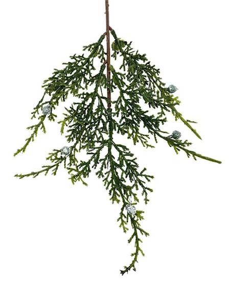 Tuja gałązka 37 cm