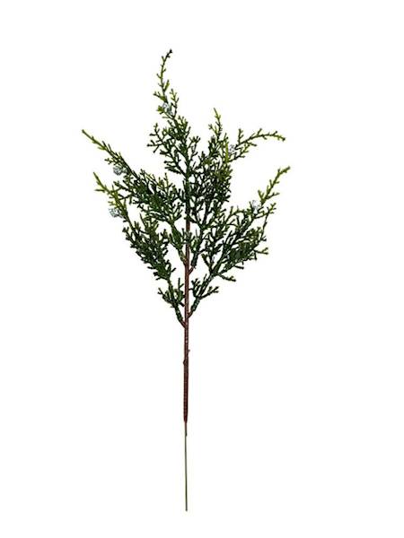Tuja gałązka 37 cm