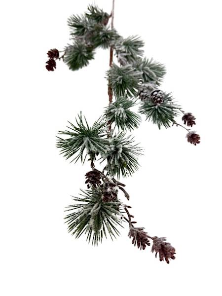 Modrzew gałązka ośnieżona 78 cm