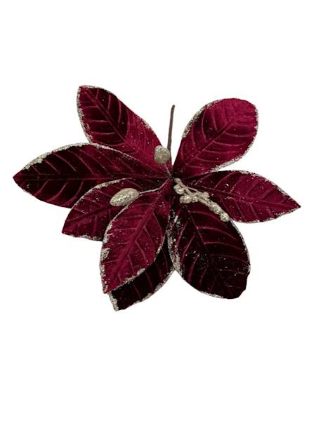 Magnolia welurowa bordo pik