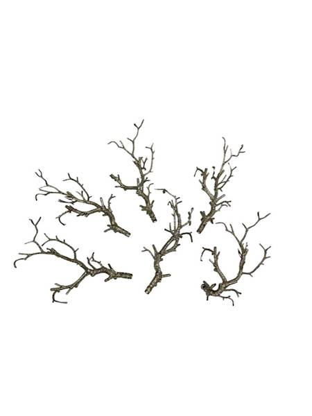 Korzeń zestaw 6 sztuk szampański