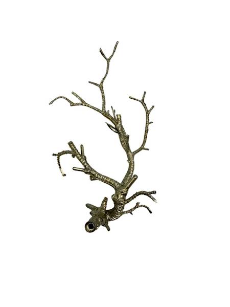 Korzeń zestaw 6 sztuk szampański