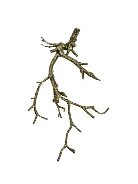 Korzeń zestaw 6 sztuk szampański