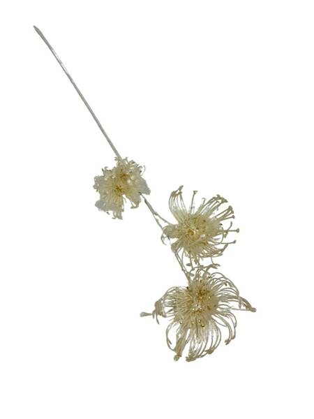 Gałązka dekoracyjna 67 cm perłowa